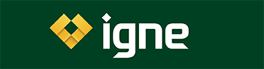 Igne Logo